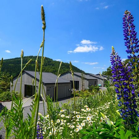 Sauerland Lodge - Haus Juliana Winterberg Exterior photo