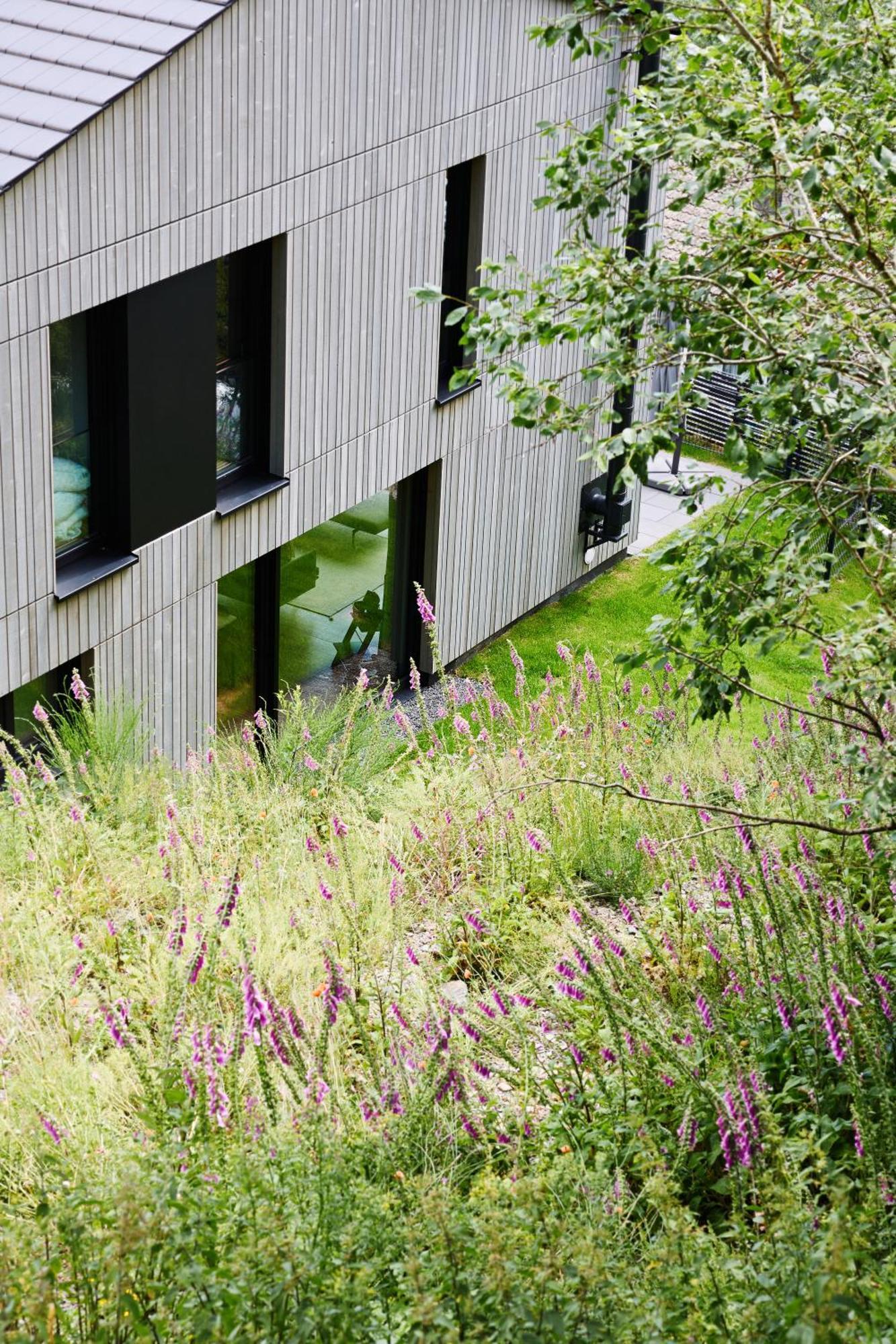 Sauerland Lodge - Haus Juliana Winterberg Exterior photo