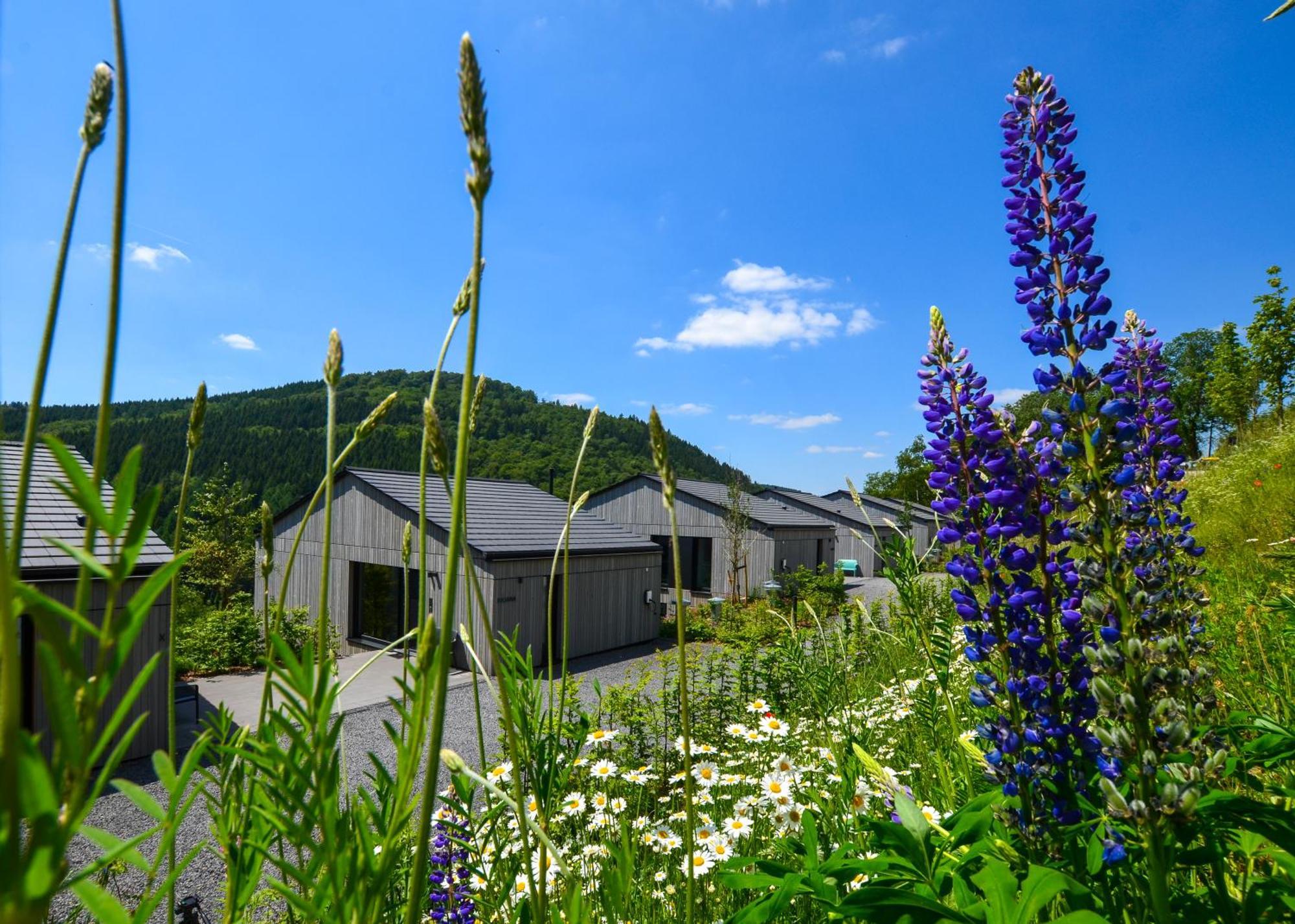 Sauerland Lodge - Haus Juliana Winterberg Exterior photo